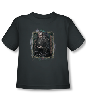 The Hobbit™ Gandalf Apparel